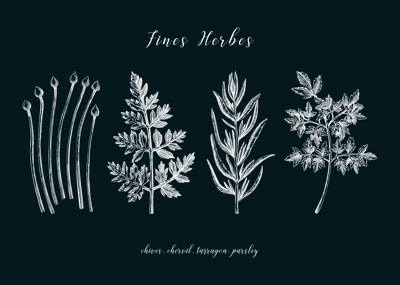 Sketch style fines herbes set. French herbs sketches. Parsley, Chives, Tarragon, Chervil, hand-drawn vector illustration on chalkboard. French cuisine. NOT AI generated
